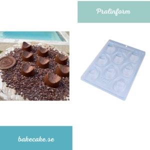 BWB Special 3-Part Mold - 9719- Pralinform Chokladform